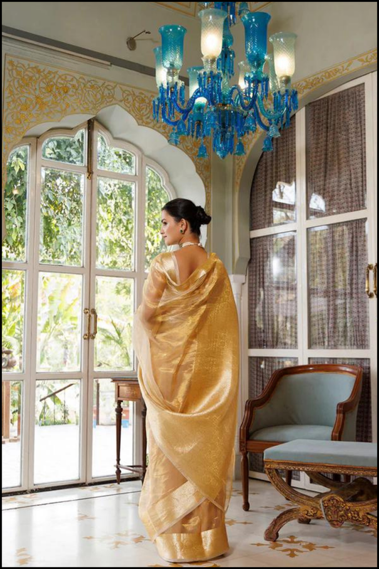 Pure Handloom Tissue Banarasi Saree