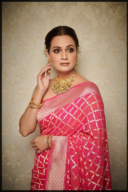 Dia Mirza in Pink Georgette Banarasi Saree