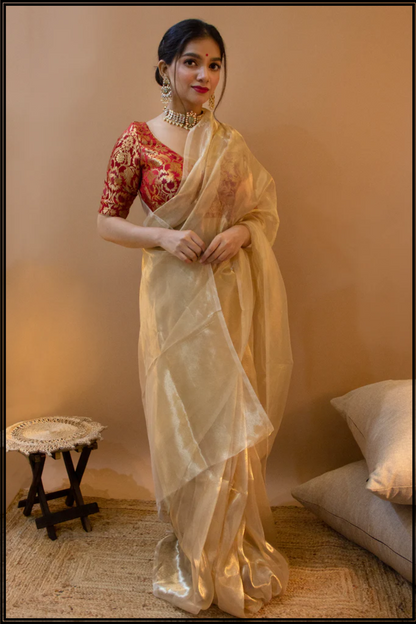 Pure Handwoven Tissue Saree