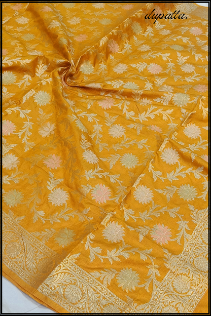 Haldi Katan silk Banarasi suite