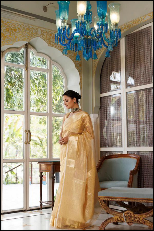 Pure Handloom Tissue Banarasi Saree